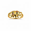 Rainbow Elephant Ring